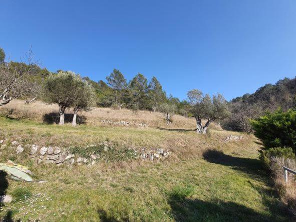 דירות Montferrat  La Ferme De Manon מראה חיצוני תמונה